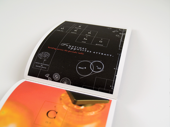 Ineke brochure spread featuring Chemical Bonding