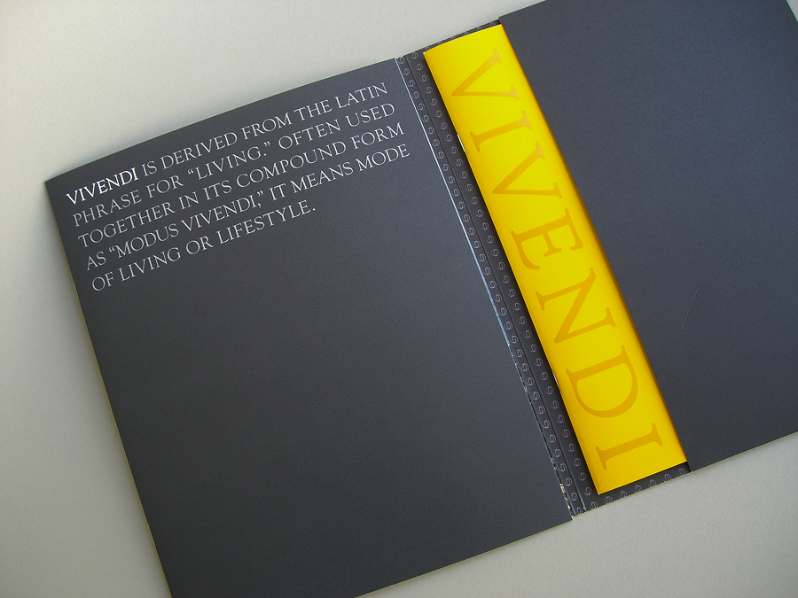 Vivendi Development design project