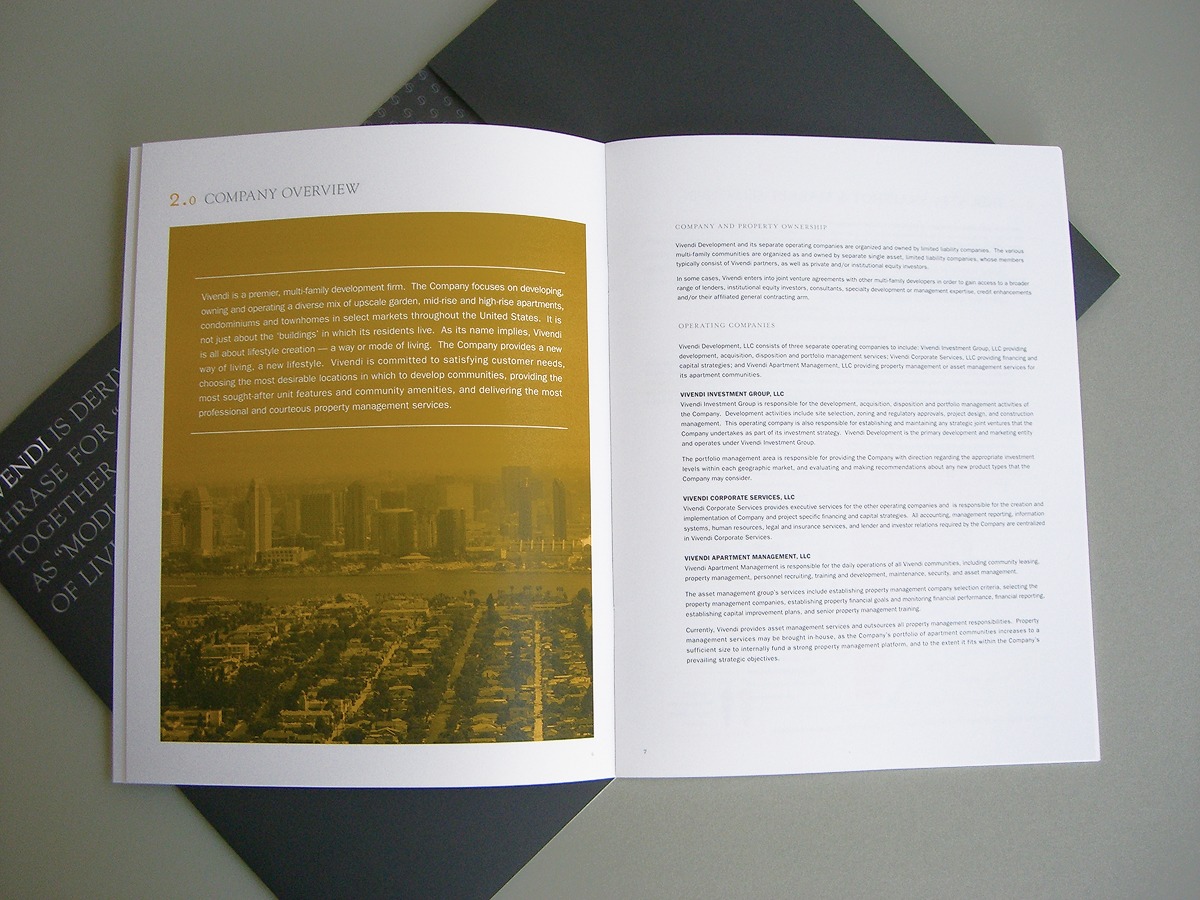 Vivendi Development company overview brochure spread