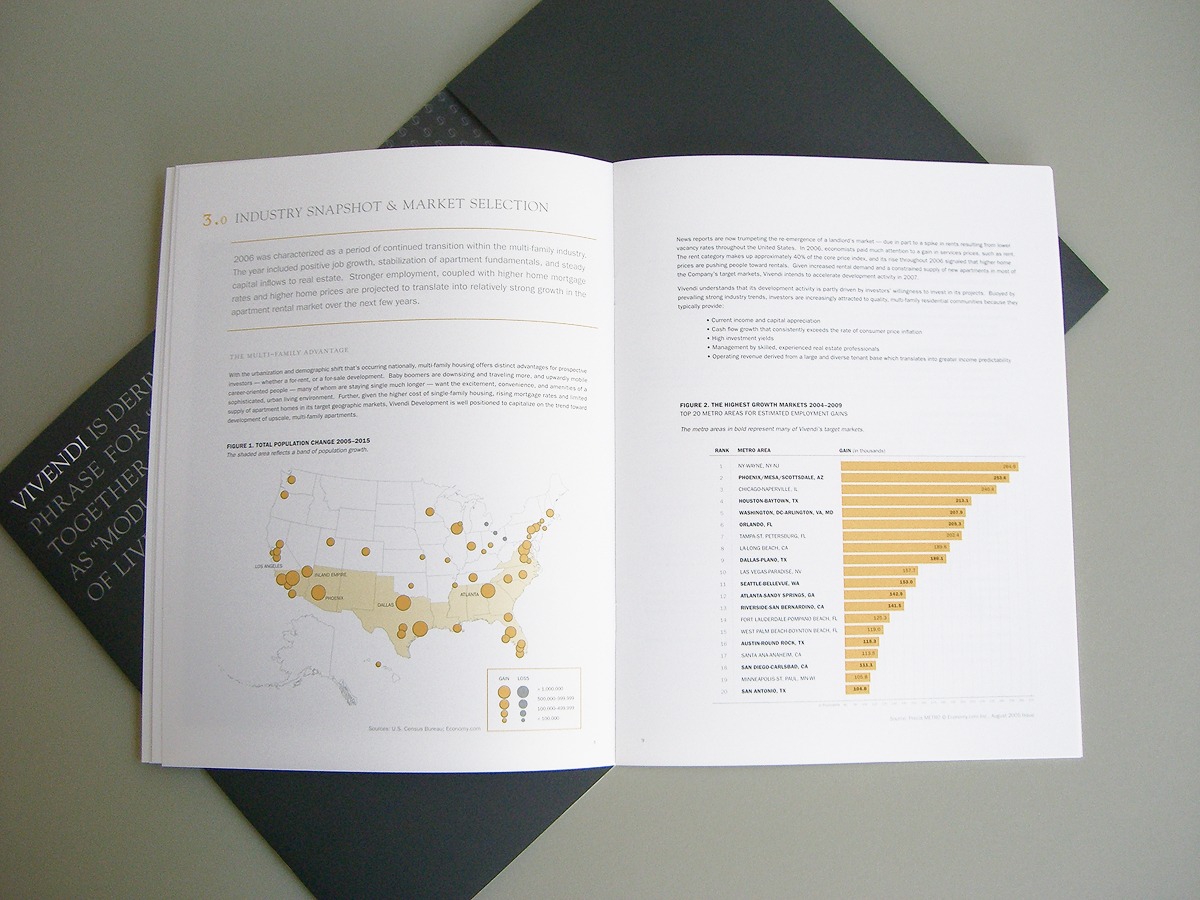 Vivendi Development market research and data visualization brochure spread